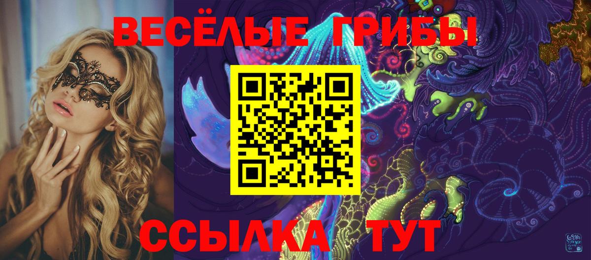 Галлюциногенные грибы Psilocybine cubensis Белебей